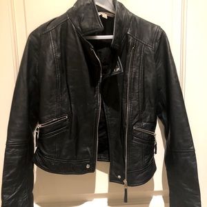 Zara Trafaluc Leather Jacket